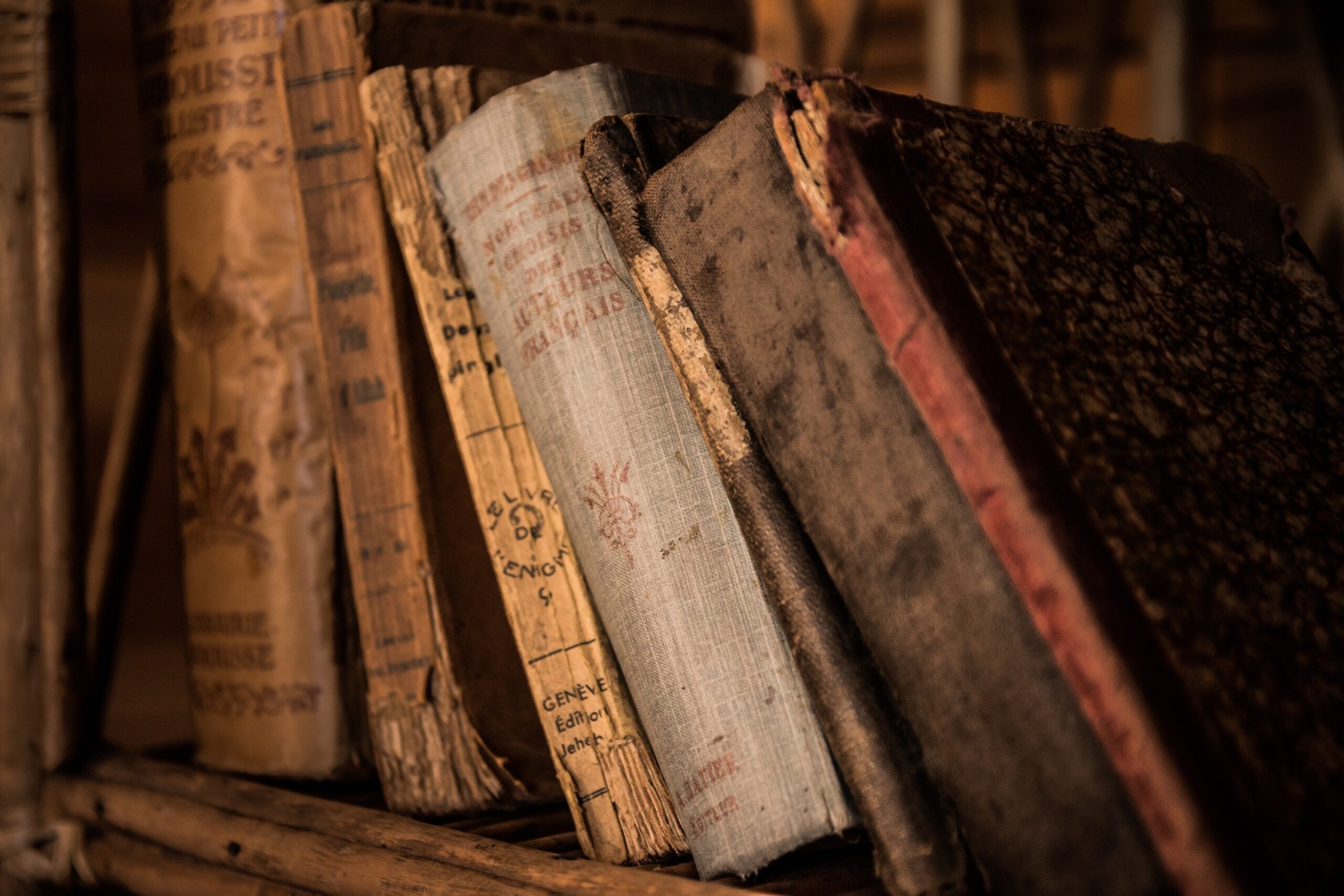 Old books leaning against each other